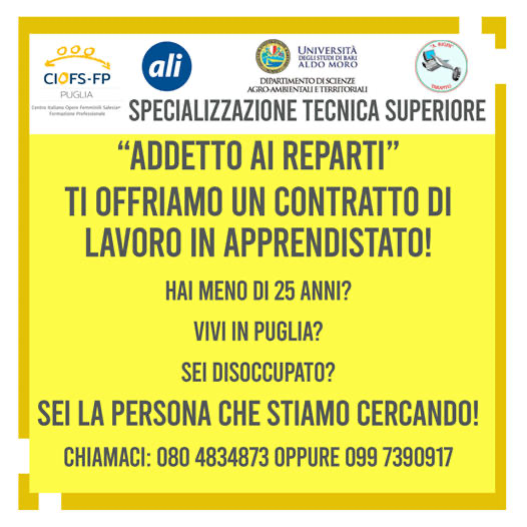 apprendistao