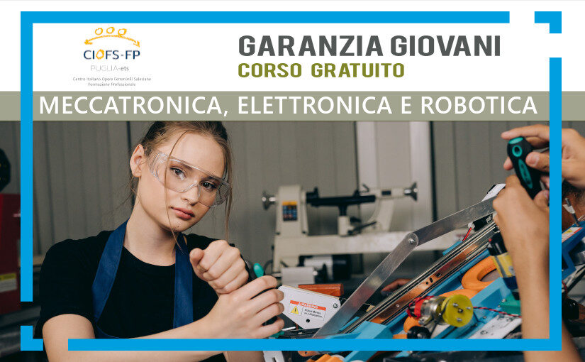 Meccatronica, elettronica e robotica