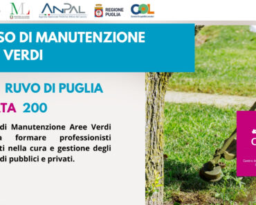 Addetto al Disegno Tecnico CAD